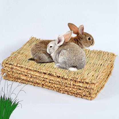 Grasmatte Kaninchen Kauspielzeug Meerschweinchen Chinchilla