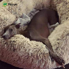 Flauschiges Hundebett Orthopädisch L 110x110cm Khaki