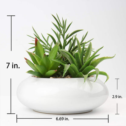 Kunstpflanze Künstliche Sukkulenten Topfkeramik Deko 18cm