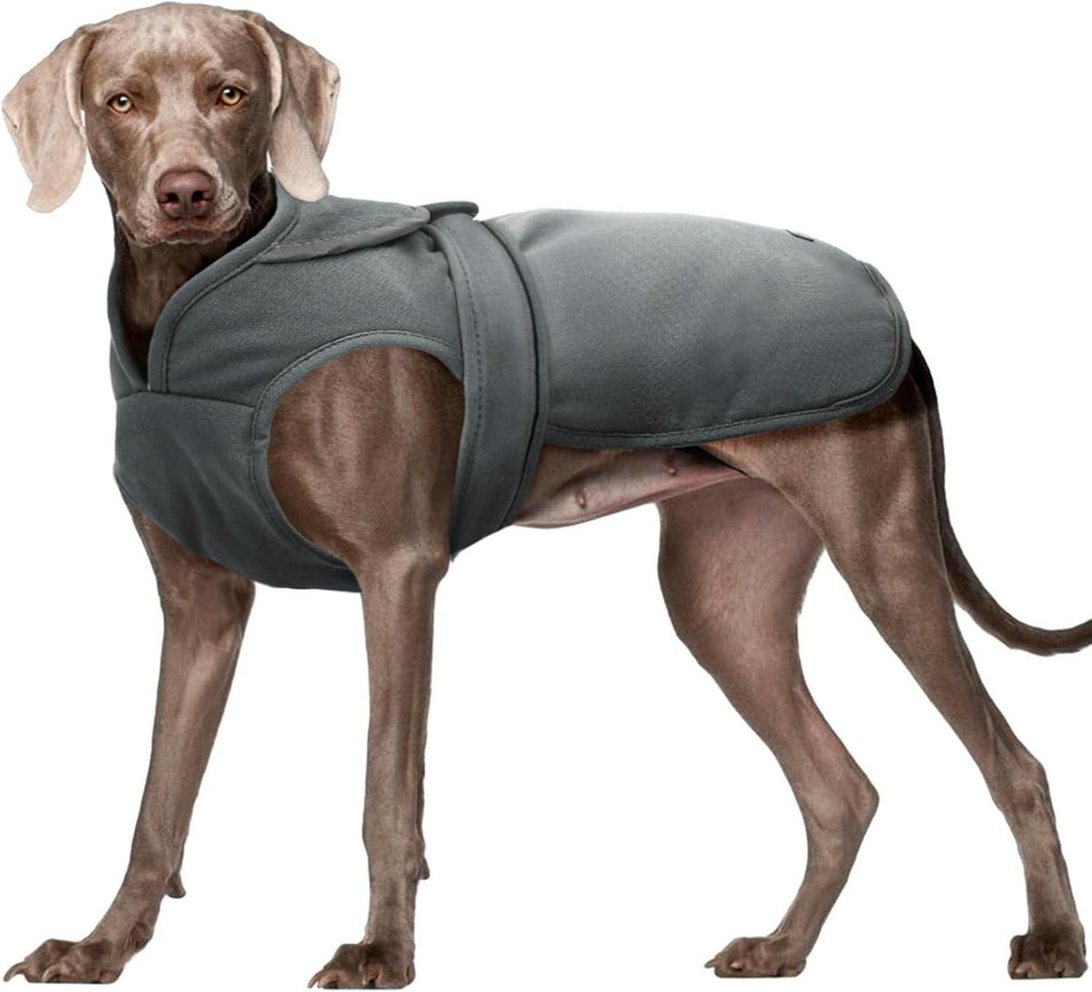 Reflektierender Hundemantel Fleecejacke wasserdicht XS-3XL Grau