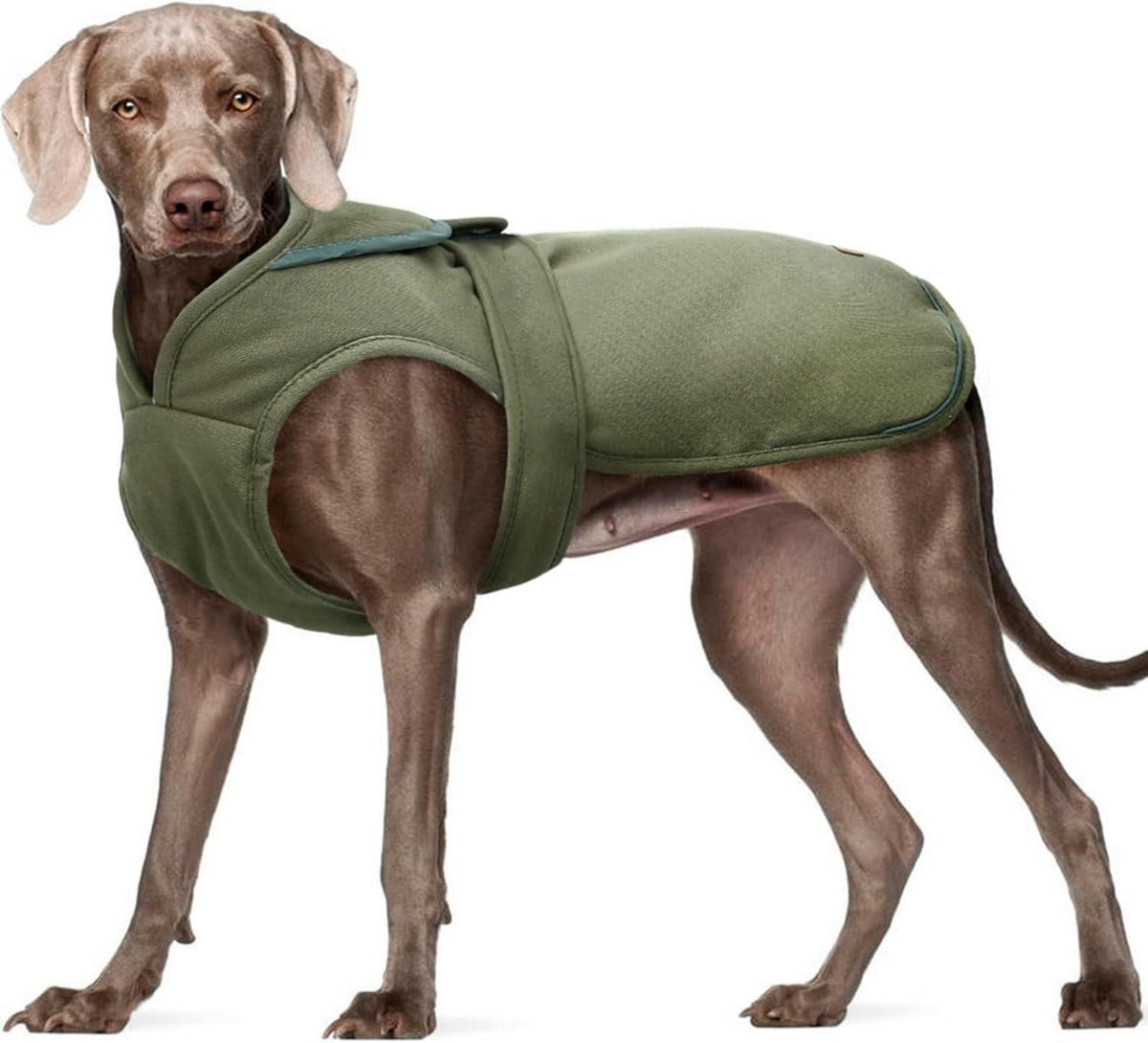 Wintermantel für Hunde, Warme Fleecejacke mit