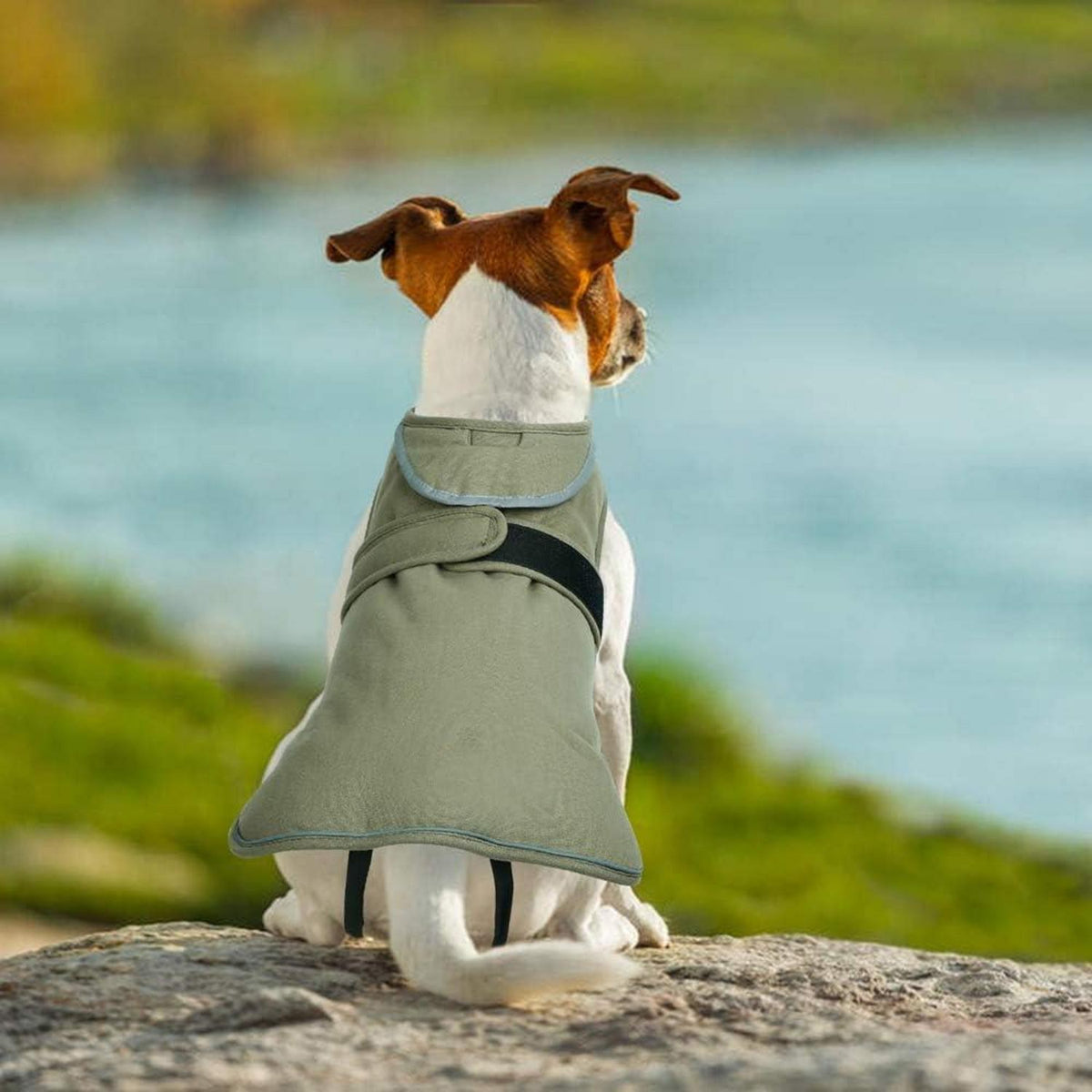 Kuoser Wintermantel Hund Fleecejacke Reflektierend Grün XS-3XL