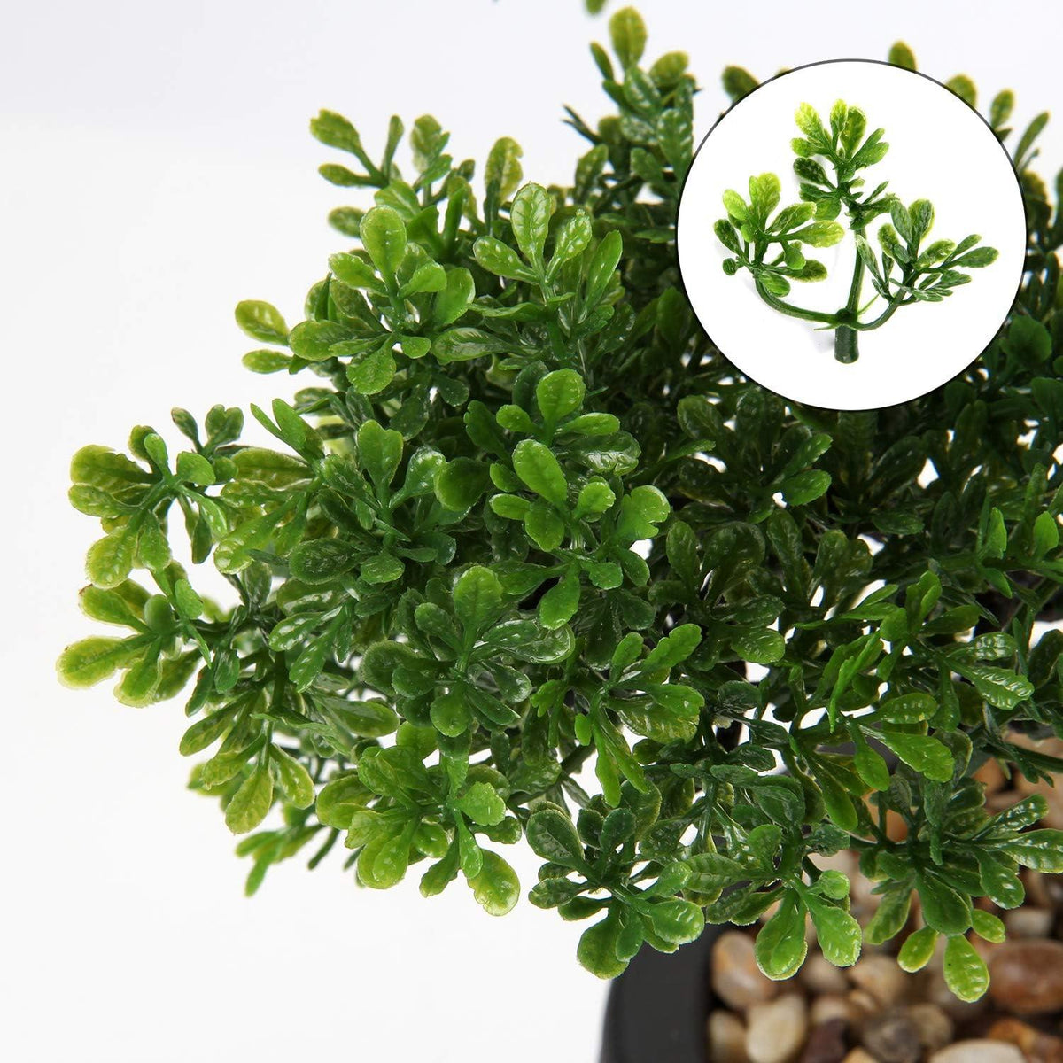 Kunstbonsai Bonsai Podocarpus Zeder Kiefer Schwarz Keramik-Übertopf