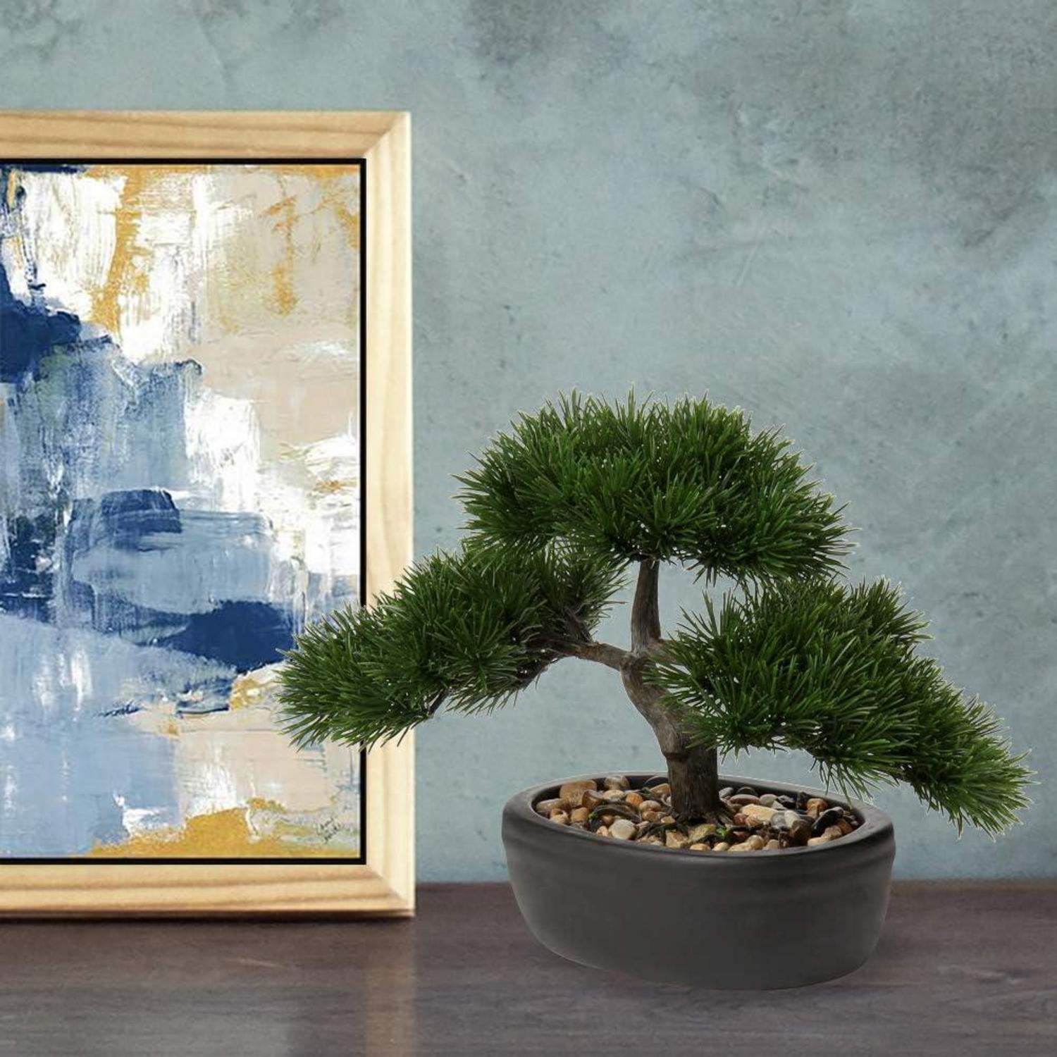 Kunstbonsai Kiefer Zeder Podocarpus Plastik Pflanze 25x23cm Schwarz