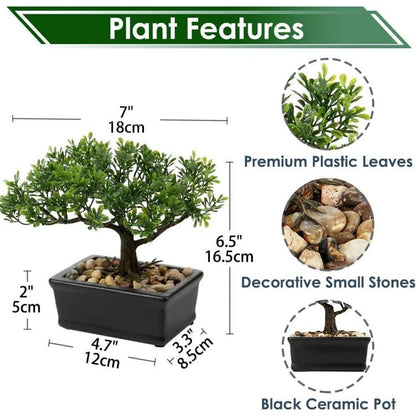 Kunstbonsai Podocarpus Zeder Künstliche Pflanze 18x16 cm