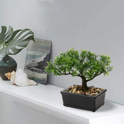Kunstbonsai Podocarpus Zeder Künstliche Pflanze 18x16 cm