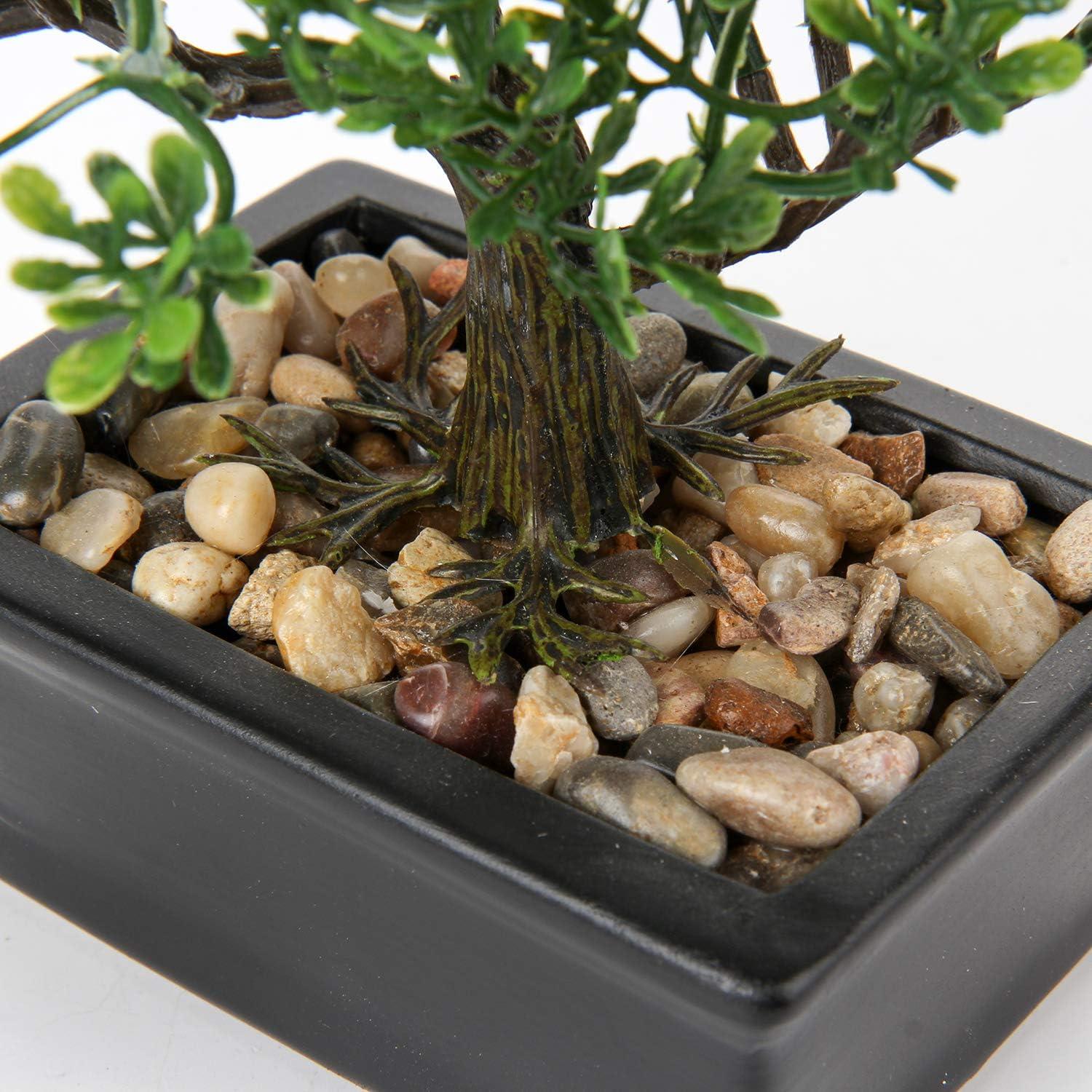 Kunstbonsai Podocarpus 18 x 16 cm mit Keramik-Übertopf Schwarz