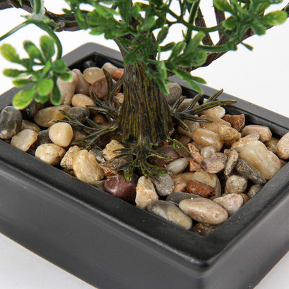 Kunstbonsai Podocarpus 18 x 16 cm mit Keramik-Übertopf Schwarz