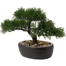 Kunstbonsai Zeder Schwarz Keramik-Übertopf 25 x 23 cm