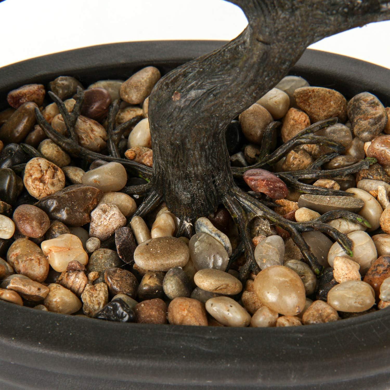 Kunstbonsai Zeder Kiefer Podocarpus Schwarz Keramik-Übertopf