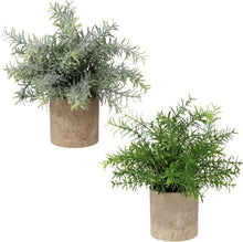 Kunstpflanze Eukalyptus Rosmarin Kräuter Topf 2er Set