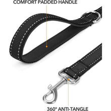 Taglory Hundeleine Mittelgroße Große Hunde Schwarz 1.2m x