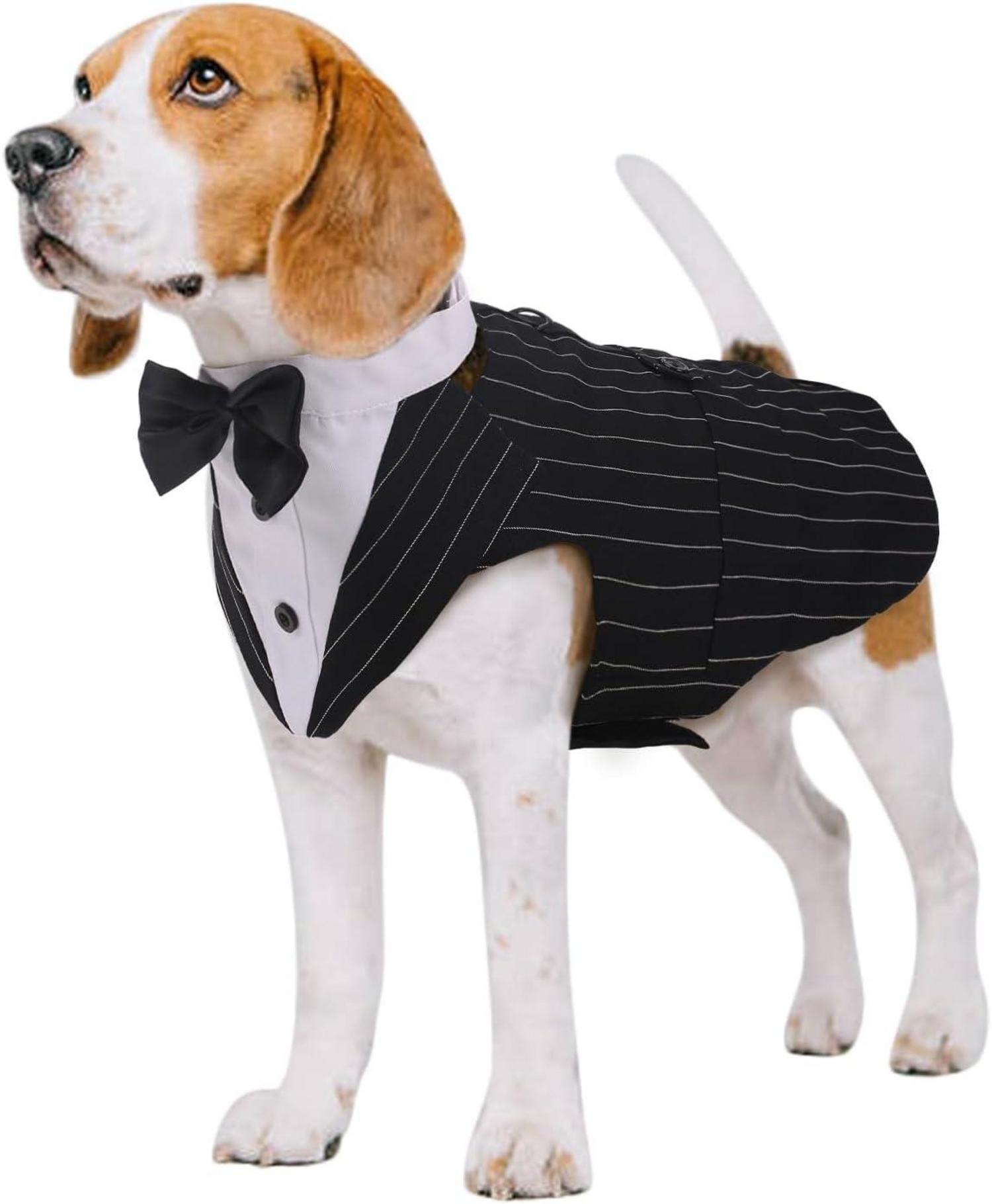 Hund Smoking Anzug Bandana Set Hochzeit Halloween XS-L