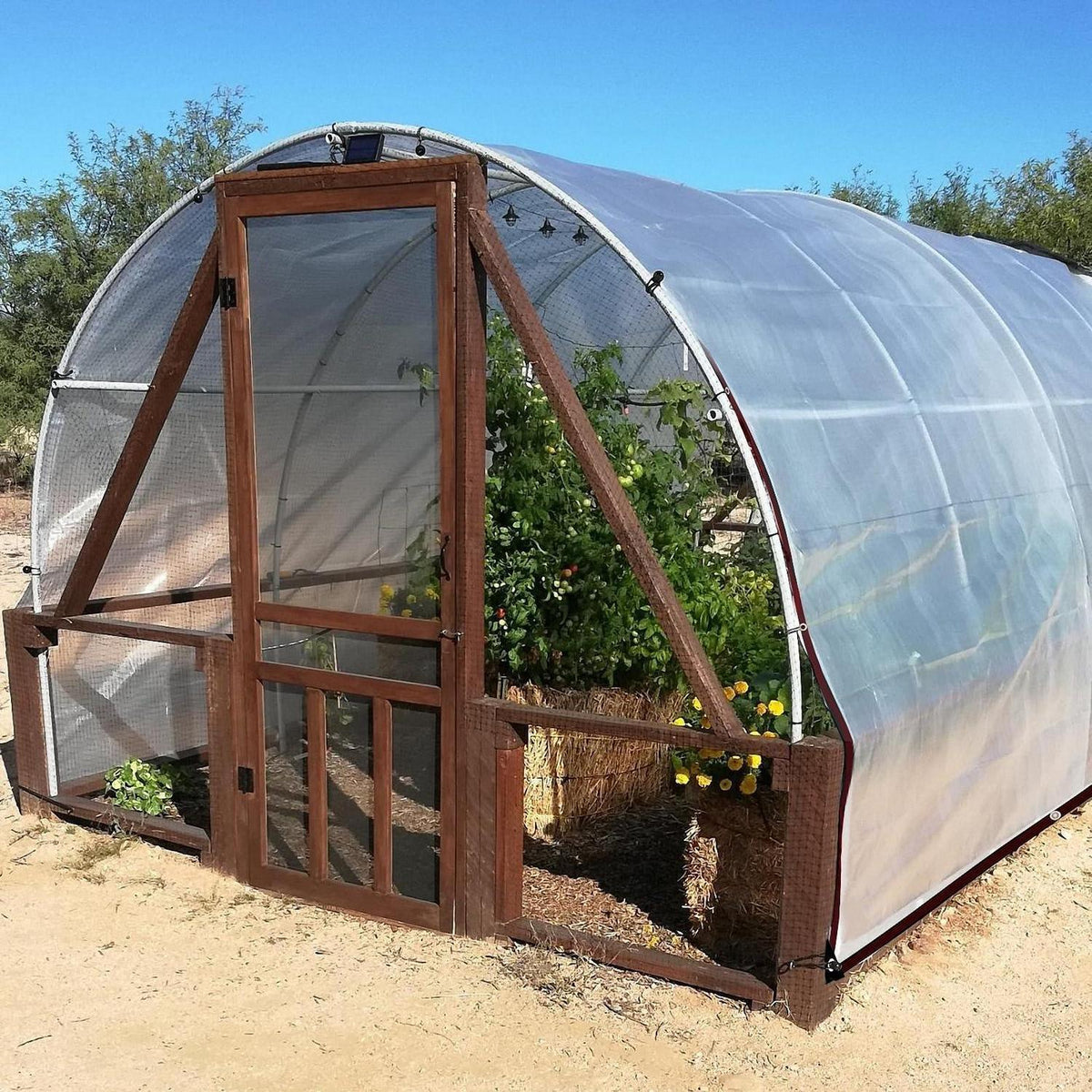Transparente Plane wasserdicht mit Ösen – 98x131ft