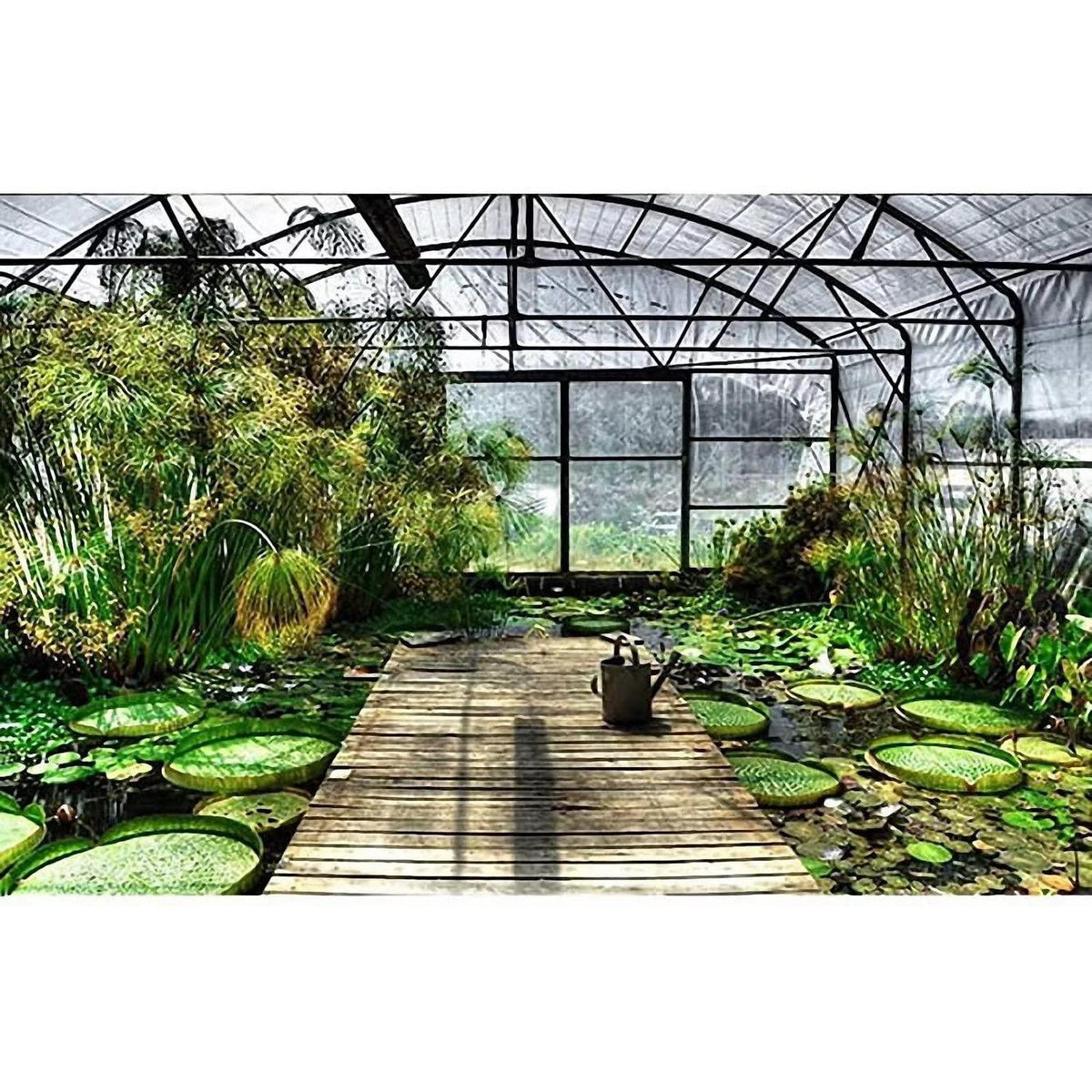 Transparente Plane wasserdicht mit Ösen – 98x131ft