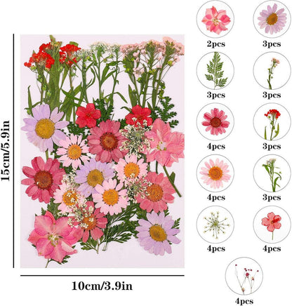 Natürliche DIY Getrocknete Blumen Gepresstes Blätter Set