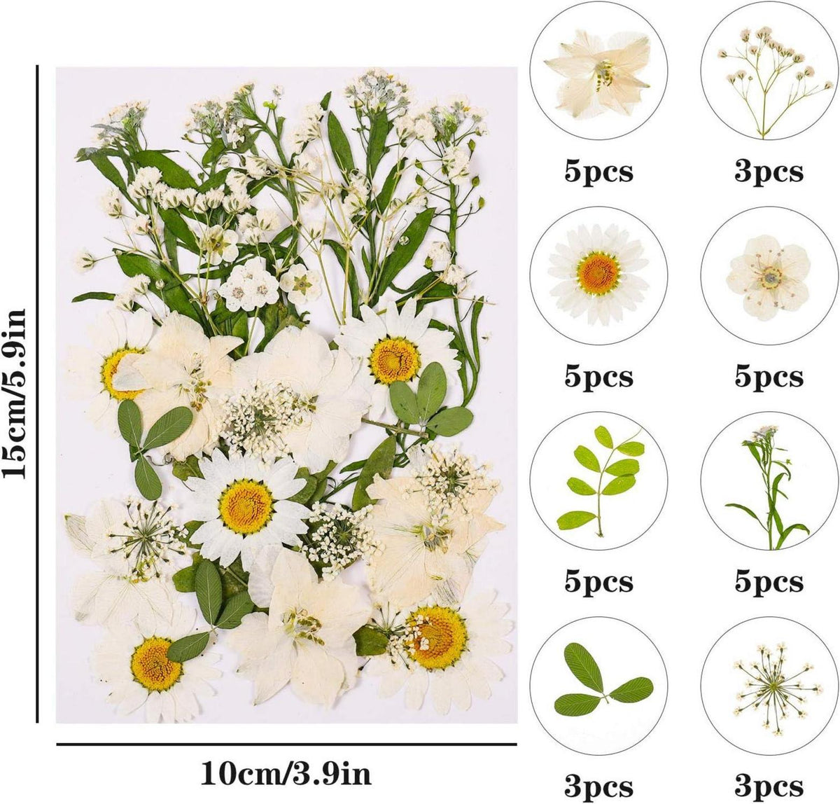 Getrocknete DIY Blumen Mix für Kunst Basteln Scrapbooking