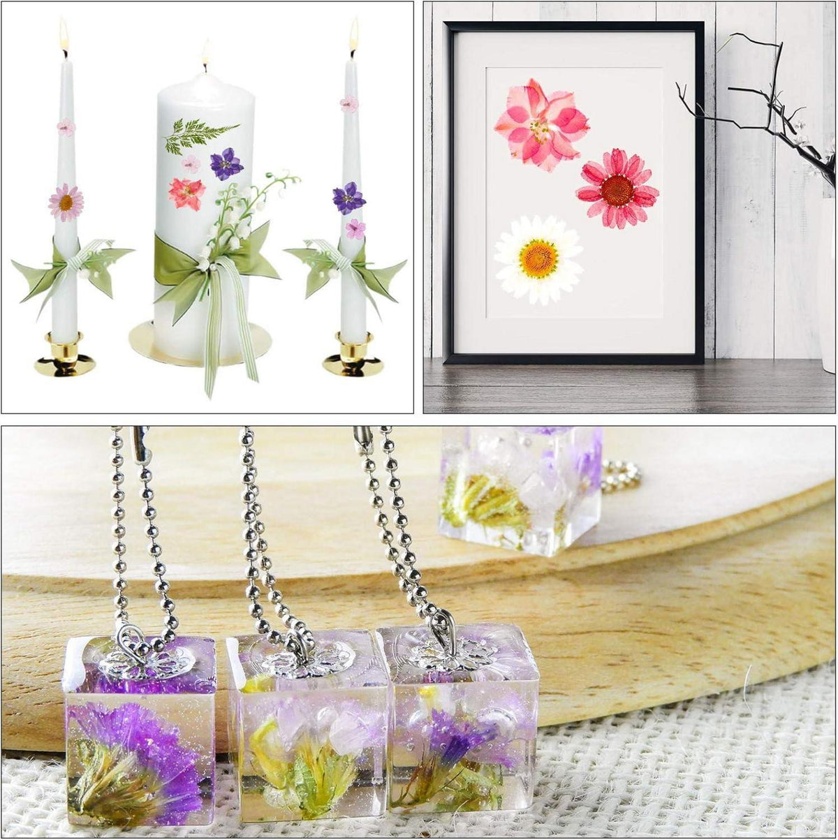 Getrocknete Blumen DIY Basteln 105 Stück Blätter Gänseblümchen
