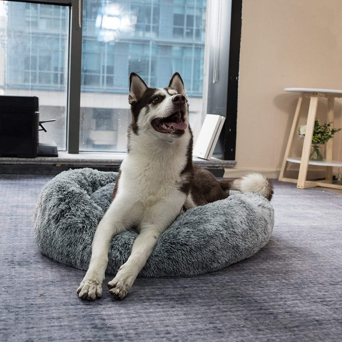Hundebett Donut Plüsch 110cm Hellgrau – Tiefschlaf Kissen