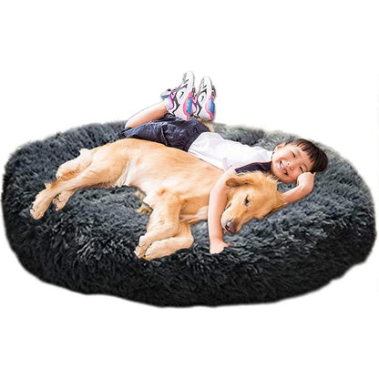 Orthopädisches Hundebett XXL – Waschbar & Kuschelig