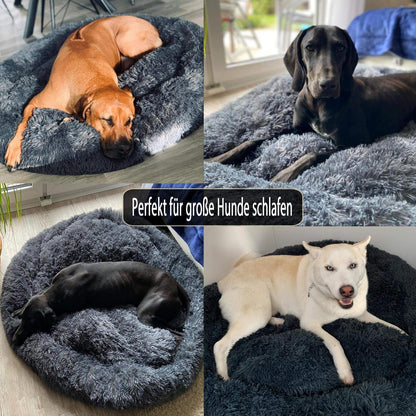 Orthopädisches Hundebett XXL – Waschbar & Kuschelig