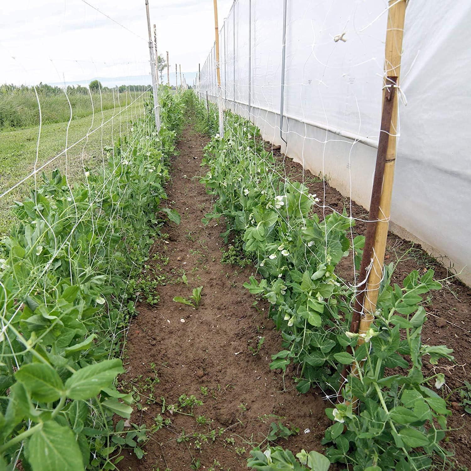 Gartennetz 10m x 1,67m Polyester Pflanzen Kletterpflanzen