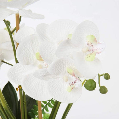 Künstliche Orchidee Phalaenopsis Bonsai Deko 38CM
