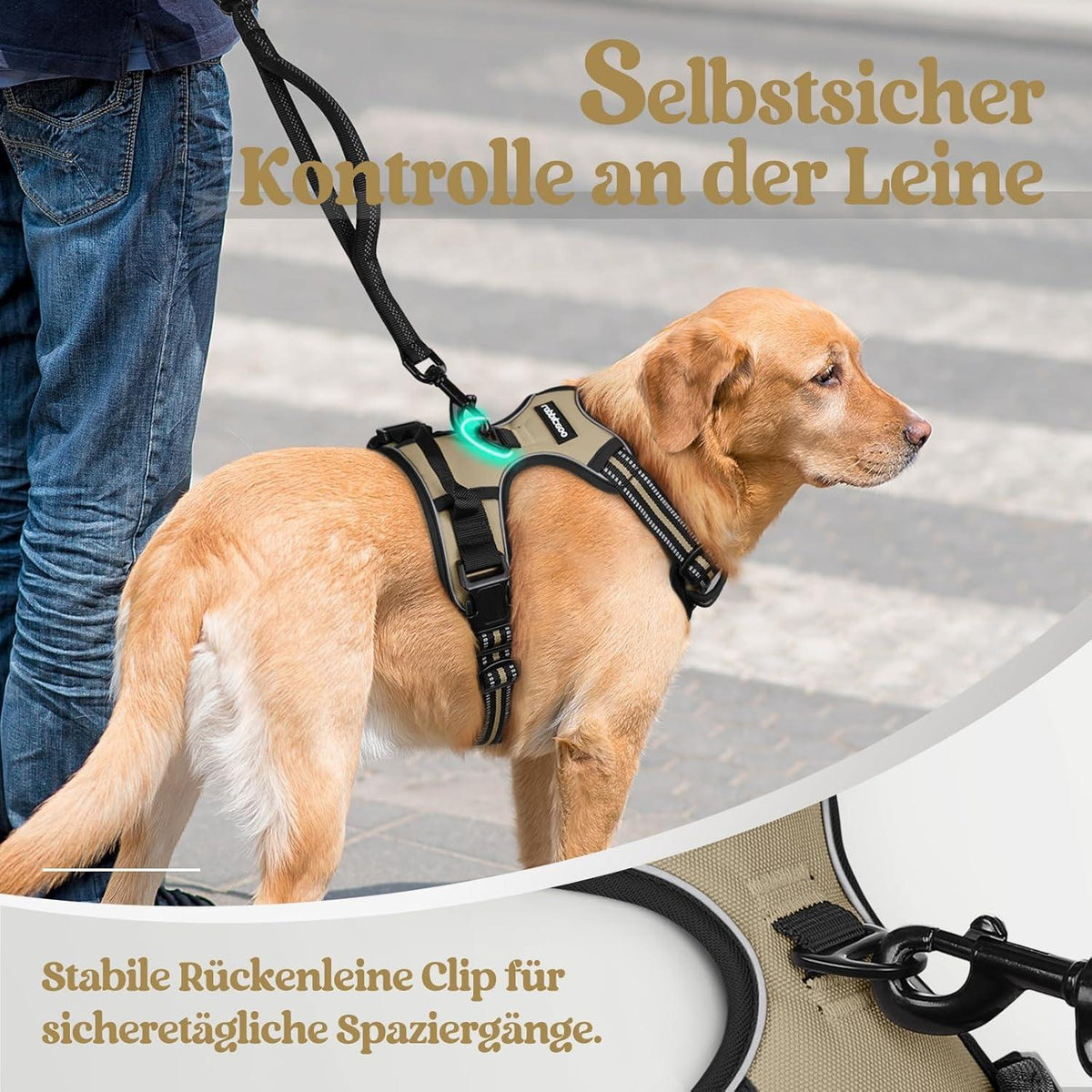 Hundegeschirr Anti-Zug mit Griff, verstellbar, Kaki M