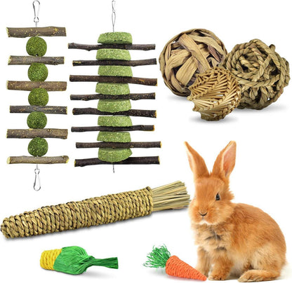 8-teiliges Kaninchen Spielzeug Set für Kleintiere - Natürliche Kauspielzeuge