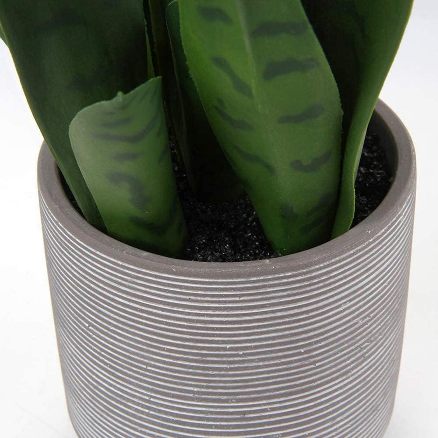 Kunstpflanze Sanseveria Deko-Pflanze Zementtopf 40cm