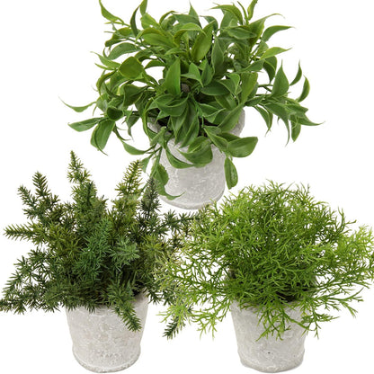 Kunstpflanze Set Eukalyptus Rosmarin Kräuter Zementtopf Set