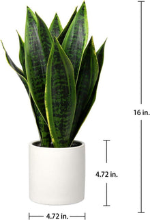 Künstliche Sansevieria Zimmerpflanze in Weißem Keramiktopf