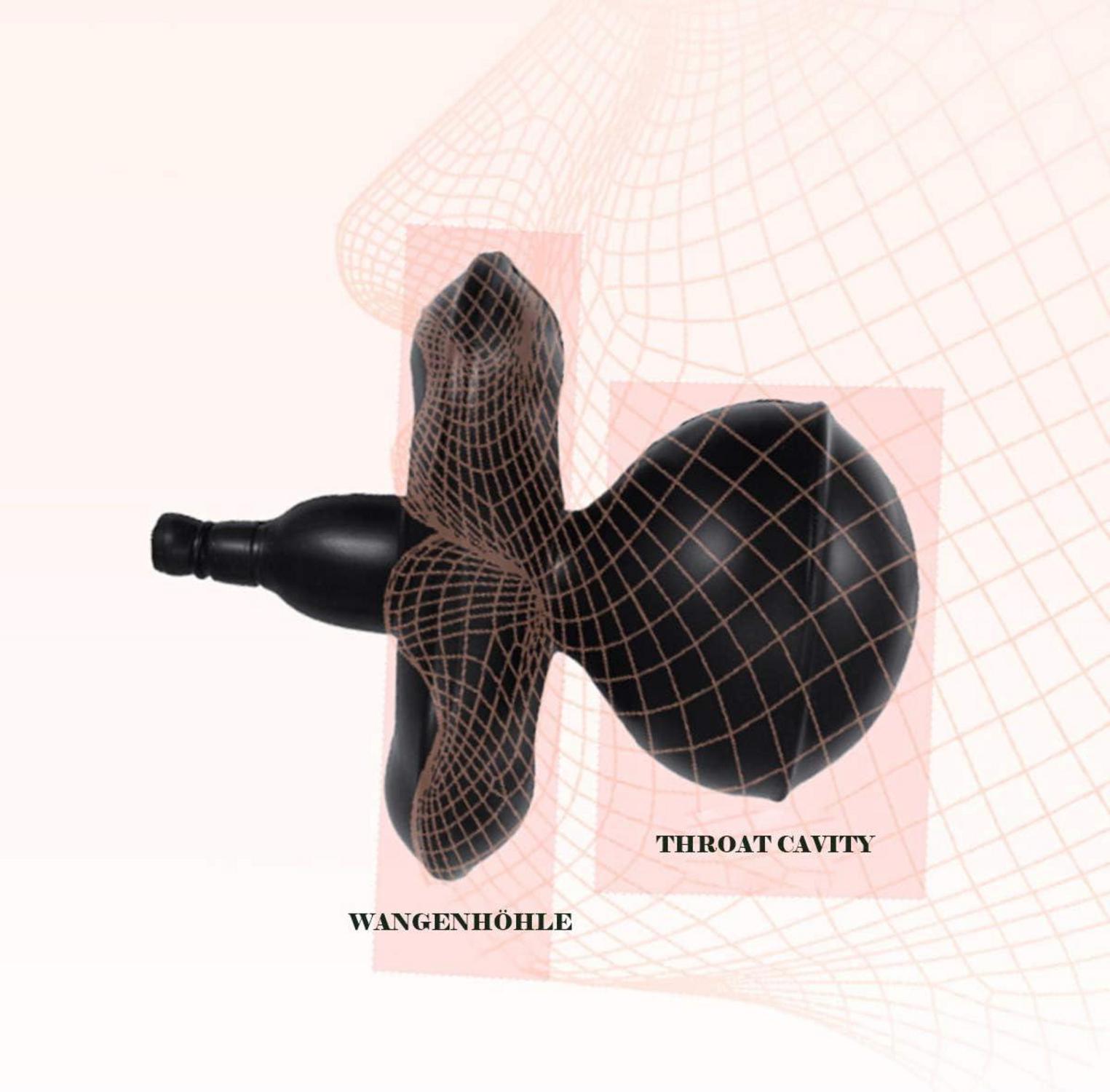 Aufblasbarer Mundknebel mit Silikon-Knebel - BDSM SM Bondage