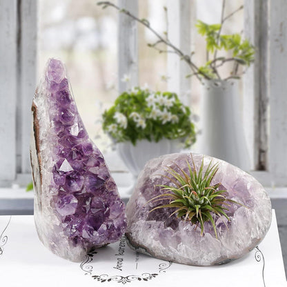 Natürlicher Amethyst Druse Groß Kristall 800g-900g