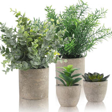 4er Set Künstliche Pflanzen Eukalyptus Sukkulenten mit