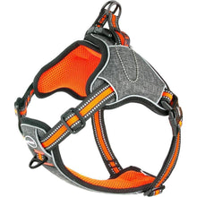 ThinkPet No-Pull Ausbruchsicheres Reflektierendes