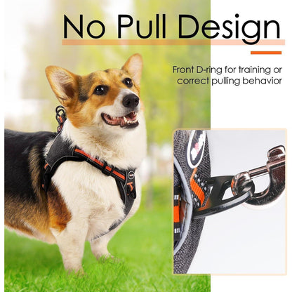 ThinkPet No-Pull Ausbruchsicheres Reflektierendes