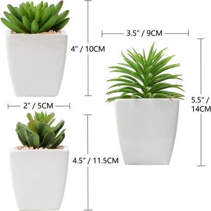 Künstliche Sukkulenten Set Zimmerpflanzen Deko 10-14cm im