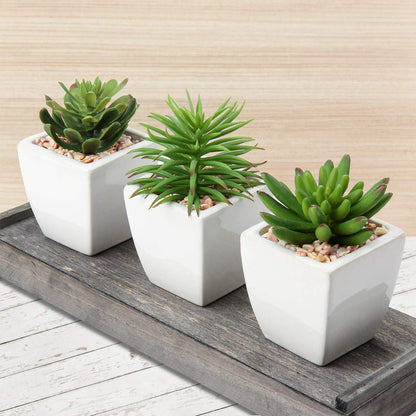 Kunstpflanze Künstliche Sukkulenten Deko Zimmerpflanze 3er Set 14cm