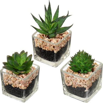 Kunstpflanze Sukkulente Dekoration 10,5cm Glastopf 3er Set
