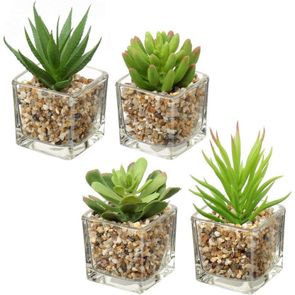Künstliche Sukkulenten Pflanzen Set im Glastopf, 10.5cm