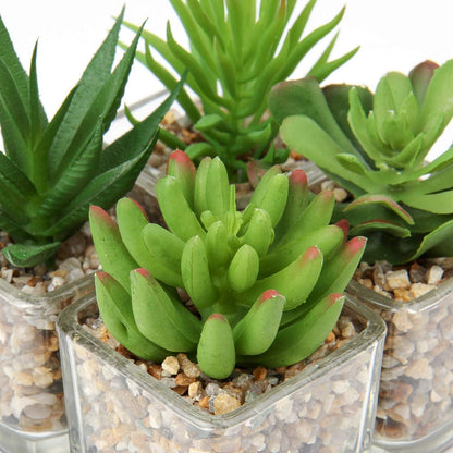 Künstliche Sukkulenten Pflanzen Set im Glastopf, 10.5cm