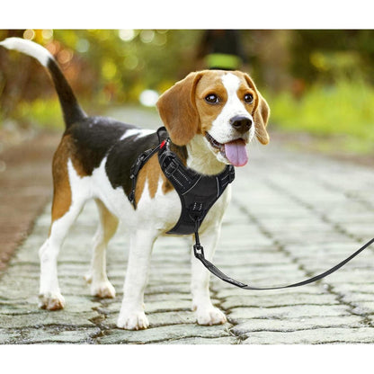 PoyPet Hundegeschirr Front Reflektierend Schwarz S - Bequeme