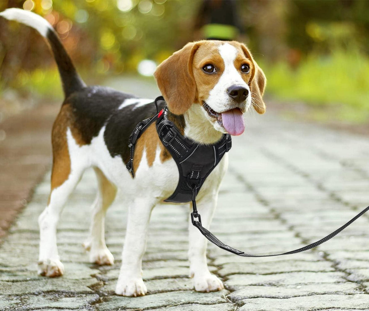 Hundegeschirr reflektierend mit Kontrollgriff, atmungsaktiv S Schwarz