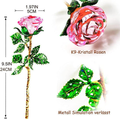Rosa Rose K9 Kristallrose mit Wunschkarte Geschenk für