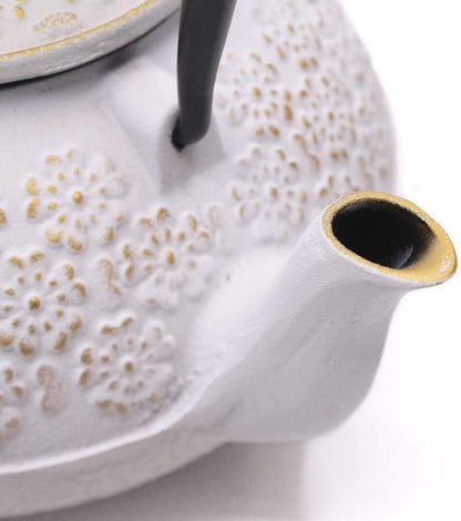Teekanne aus Gusseisen mit Teesieb, japanischer Teekessel