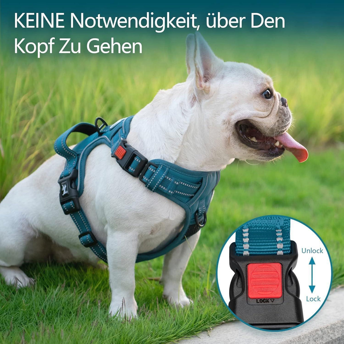 PoyPet Hundegeschirr ohne Zug, reflektierend, gepolstert, Größe M, Tumalo Teal