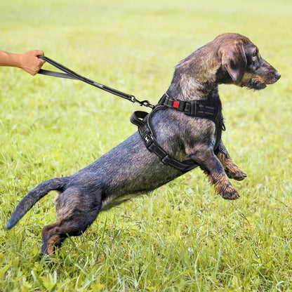 Hundegeschirr ohne Ziehen, XS Schwarz, verstellbar, gepolstert