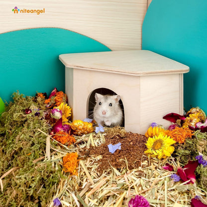 Niteangel Birkenkammer Hamsterversteck Holz Deko