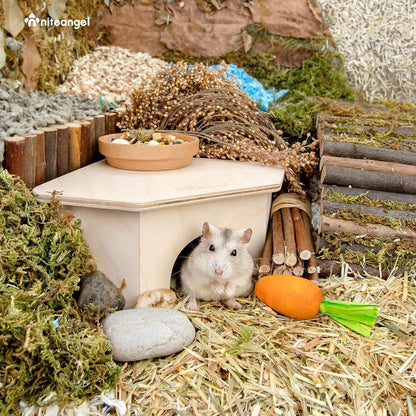 Niteangel Birkenkammer Hamsterversteck Holz Deko